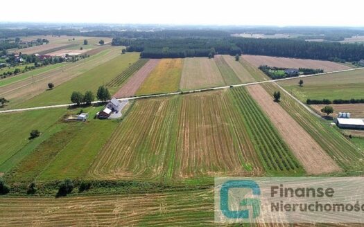 Działki pod zabudowę w Ossowicach, gm. Cielądz