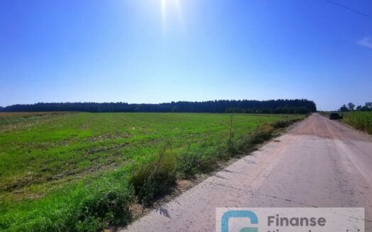 Działki pod zabudowę w Ossowicach, gm. Cielądz