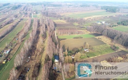 Działka rolna 12 700 m2, Pasieka Wałowska