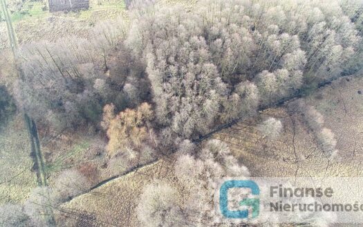 Działka rolna 12 700 m2, Pasieka Wałowska