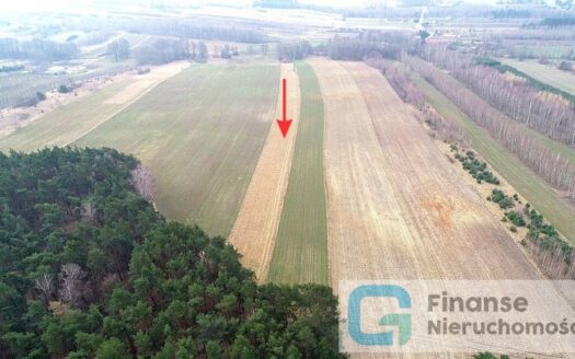 Działka rolno-budowlana, Pasieka Wałowska