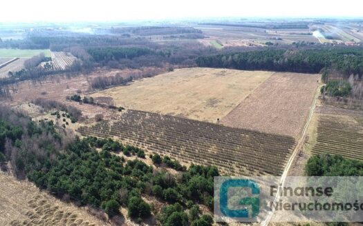 Działka budowlana, 17 374 m2, Żurawia gm. Biała Rawska, NIŻSZA CENA!