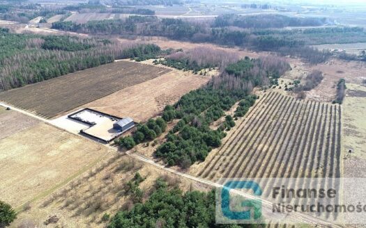 Działka budowlana, 17 374 m2, Żurawia gm. Biała Rawska, NIŻSZA CENA!