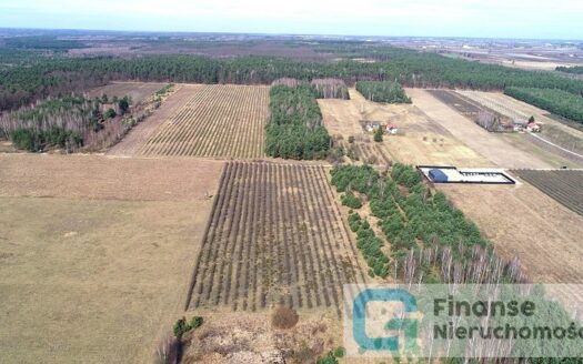 Działka budowlana, 17 374 m2, Żurawia gm. Biała Rawska, NIŻSZA CENA!