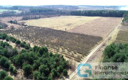 Działka budowlana, 17 374 m2, Żurawia gm. Biała Rawska, NIŻSZA CENA!