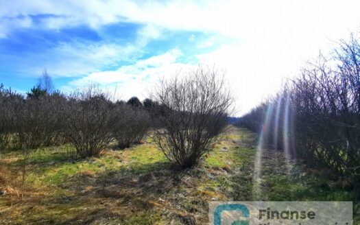 Działka budowlana, 17 374 m2, Żurawia gm. Biała Rawska, NIŻSZA CENA!