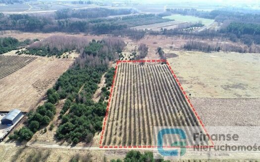 Działka budowlana, 17 374 m2, Żurawia gm. Biała Rawska, NIŻSZA CENA!