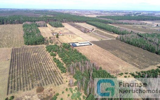 Działka inwestycyjna, 23 200 m2, Żurawia gm. Biała Rawska, NIŻSZA CENA!