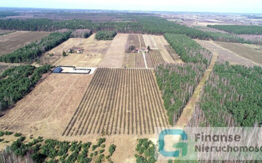 Działka inwestycyjna, 23 200 m2, Żurawia gm. Biała Rawska, NIŻSZA CENA!