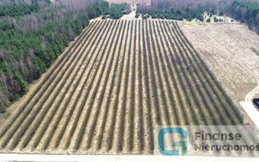 Działka inwestycyjna, 23 200 m2, Żurawia gm. Biała Rawska, NIŻSZA CENA!