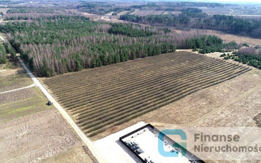 Działka inwestycyjna, 23 200 m2, Żurawia gm. Biała Rawska, NIŻSZA CENA!