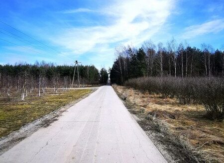 Działka inwestycyjna, 23 200 m2, Żurawia gm. Biała Rawska, NIŻSZA CENA!