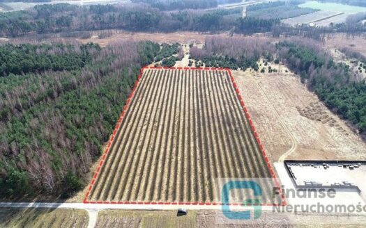 Działka inwestycyjna, 23 200 m2, Żurawia gm. Biała Rawska, NIŻSZA CENA!
