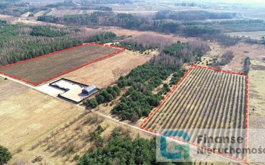 Działka inwestycyjna, 23 200 m2, Żurawia gm. Biała Rawska, NIŻSZA CENA!