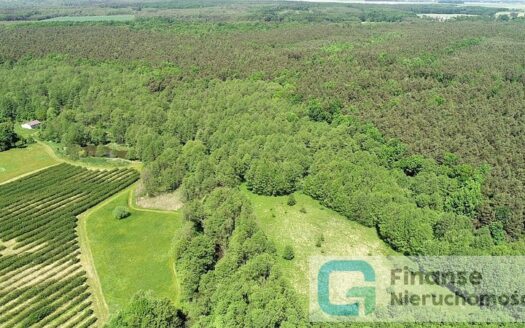 Zabudowana działka nad rzeką oraz las, 1/2 udziału, Przewodowice