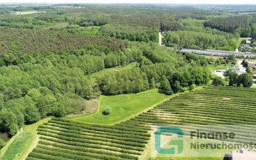 Zabudowana działka nad rzeką oraz las, 1/2 udziału, Przewodowice
