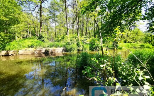 Zabudowana działka nad rzeką oraz las, 1/2 udziału, Przewodowice