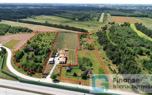 Działka inwestycyjna przy S8, 1,0285 ha, Podlas, NIŻSZA CENA!