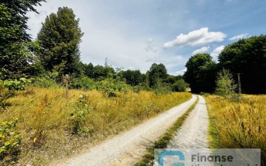 Działka położona w zielonej okolicy, Nowe Byliny
