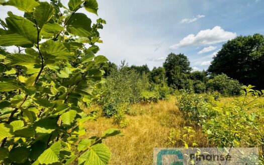 Działka położona w zielonej okolicy, Nowe Byliny