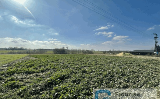 Działka budowlana, Zglinna Duża gm. Nowy Kawęczyn