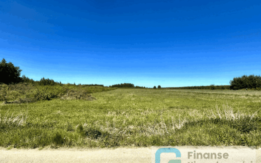 Kompleks działek w malowniczej wsi Ossa