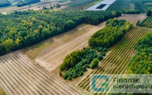 Działka rolna w Wólce Lesiewskiej