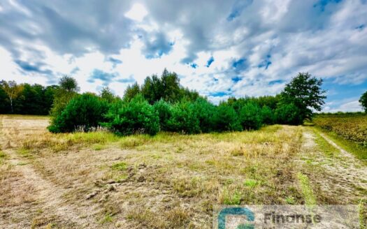 Działka rolna w Wólce Lesiewskiej