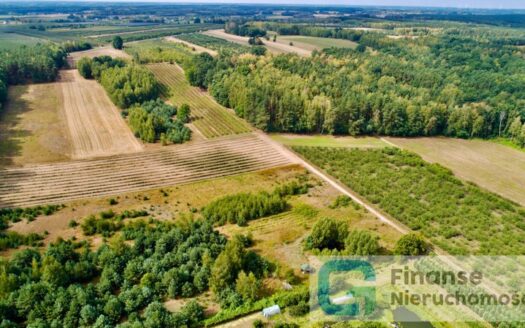 Działka rolna w Wólce Lesiewskiej