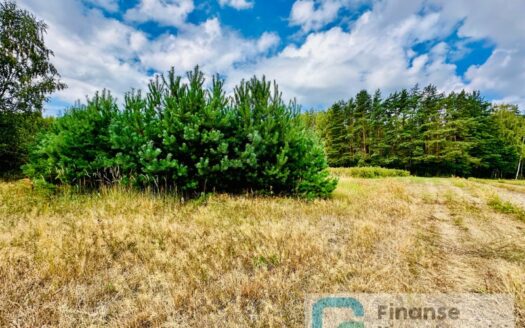 Działka rolna w Wólce Lesiewskiej
