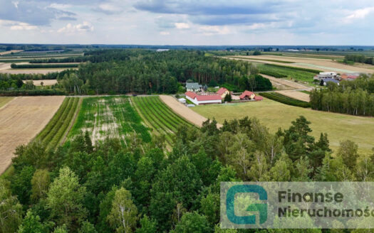 Dwie atrakcyjne działki z dojazdem asfaltowym w Kazimierzowie