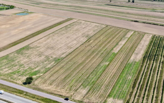 Działka usługowa 1,5185 ha – Konopnica