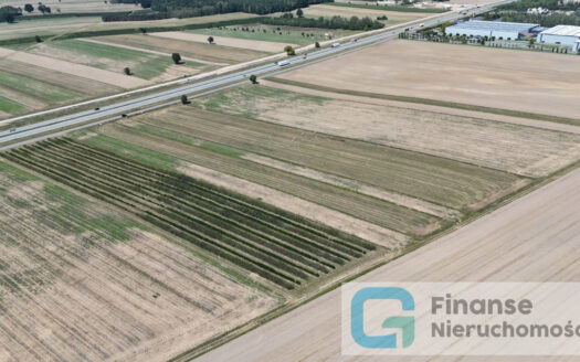 Działka usługowa 1,5185 ha – Konopnica