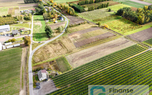 🏡 Działki budowlane i rolna – Kazimierzów, gm. Regnów