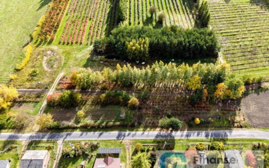 🏡 Działki budowlane i rolna – Kazimierzów, gm. Regnów