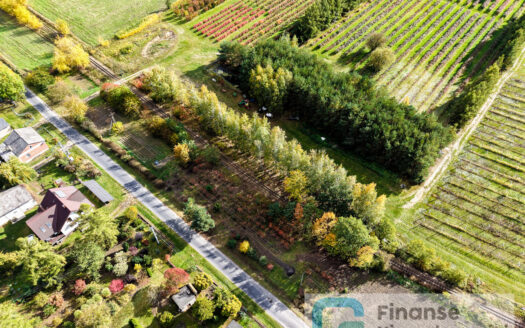 🏡 Działki budowlane i rolna – Kazimierzów, gm. Regnów
