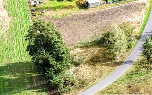 🏡 Działka budowlana nr 356 – Kazimierzów, gmina Regnów