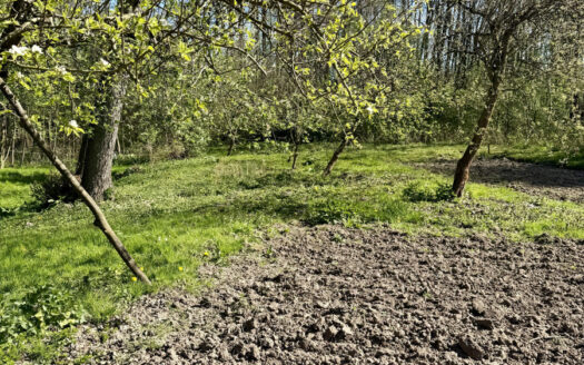 🌿 Działka budowlano-rolna 4564 m² w spokojnej okolicy — Pasieka Wałowska, gm. Rawa Mazowiecka 🌿