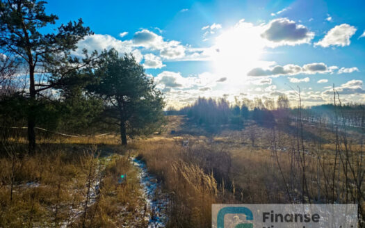 🌿🏡 Dwie działki na sprzedaż – Pobiedna, gm. Nowe Miasto nad Pilicą