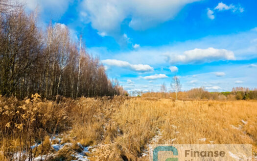 🌿🏡 Dwie działki na sprzedaż – Pobiedna, gm. Nowe Miasto nad Pilicą