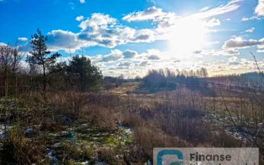 🌿🏡 Dwie działki na sprzedaż – Pobiedna, gm. Nowe Miasto nad Pilicą