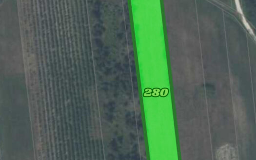 🌿🏡 Dwie działki na sprzedaż – Pobiedna, gm. Nowe Miasto nad Pilicą