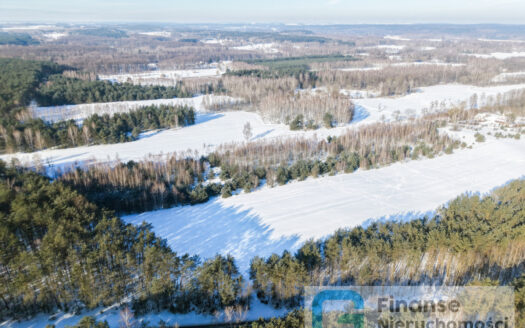 🏡 Na sprzedaż: kompleks działek budowlanych – Nowe Byliny 🌿