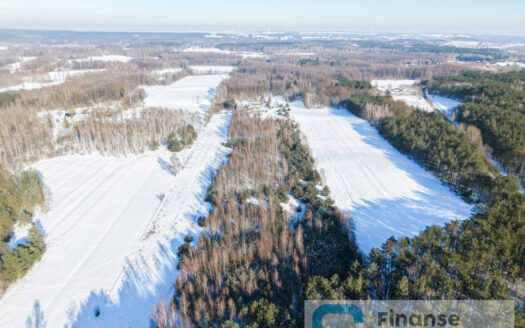 🏡 Na sprzedaż: kompleks działek budowlanych – Nowe Byliny 🌿