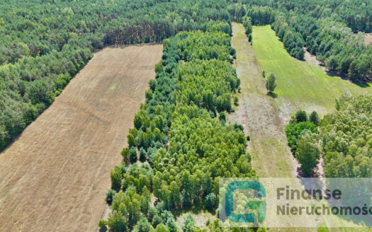 🏡 Na sprzedaż: kompleks działek budowlanych – Nowe Byliny 🌿