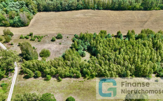 🏡 Na sprzedaż: kompleks działek budowlanych – Nowe Byliny 🌿