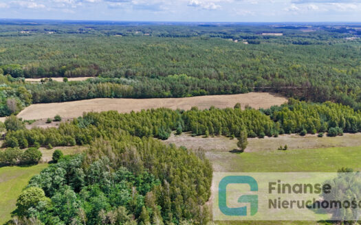 🏡 Na sprzedaż: kompleks działek budowlanych – Nowe Byliny 🌿